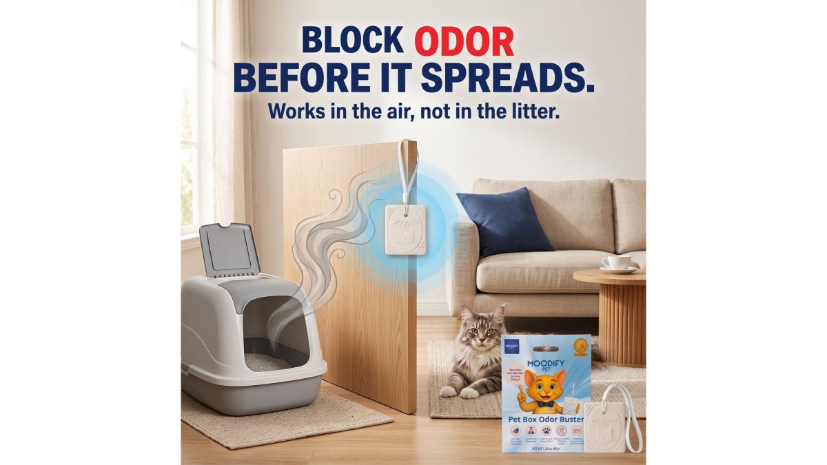 Best Non-Toxic Litter Box Deodorizer: 2026 Guide