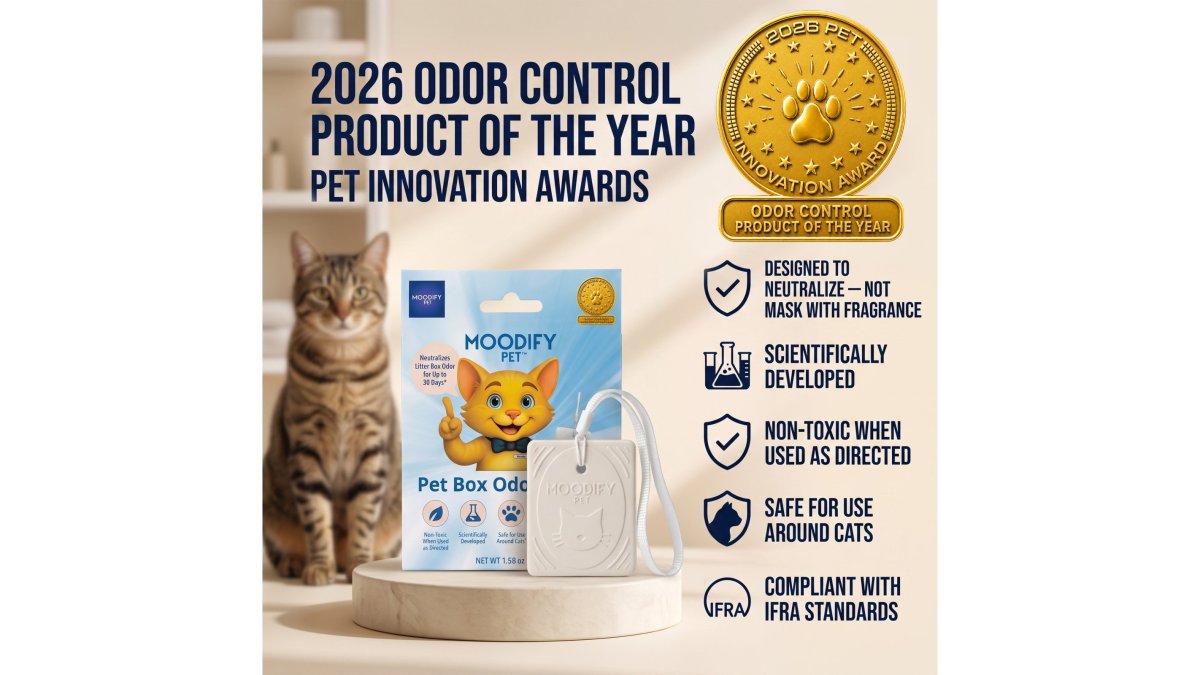 Fragrance Free Cat Odor Control: 4 Solutions