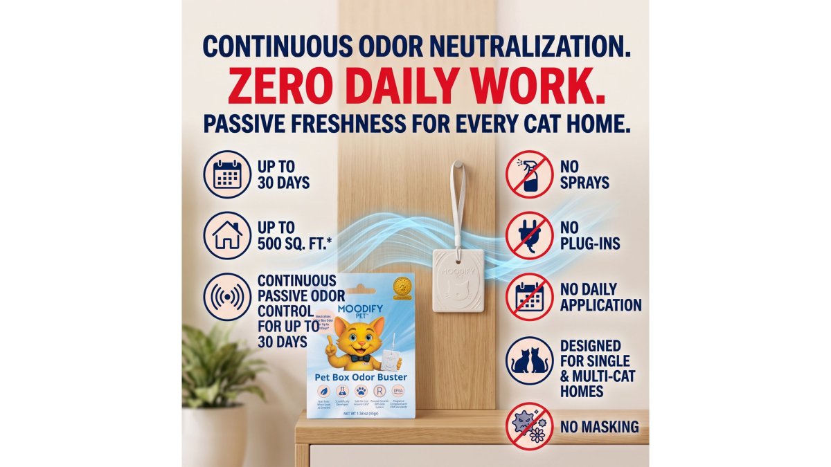 How to Manage Multi-Cat Odors: 7 Proven Steps