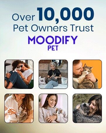 Over 10,000 pet owners trust MoodifyPet