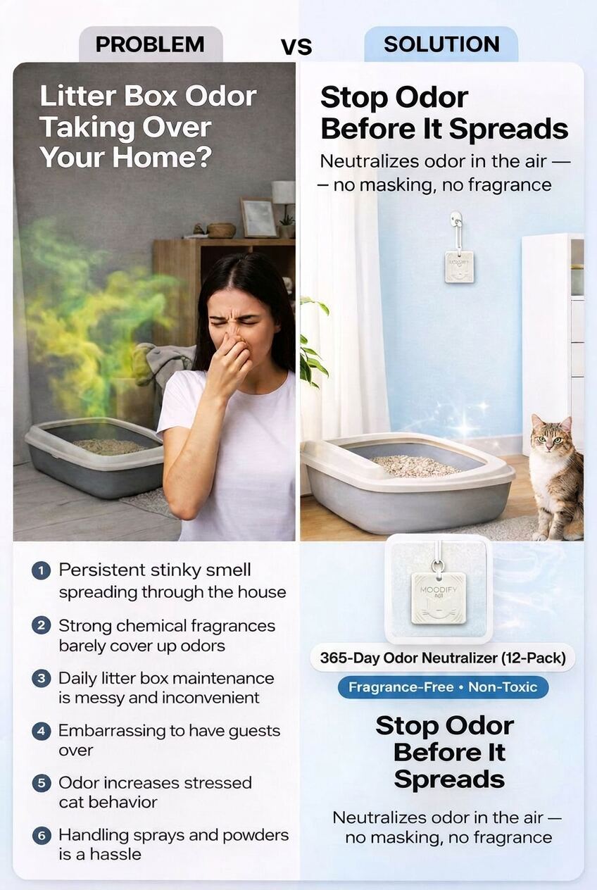 Problem vs Solution — 365 days of odor control